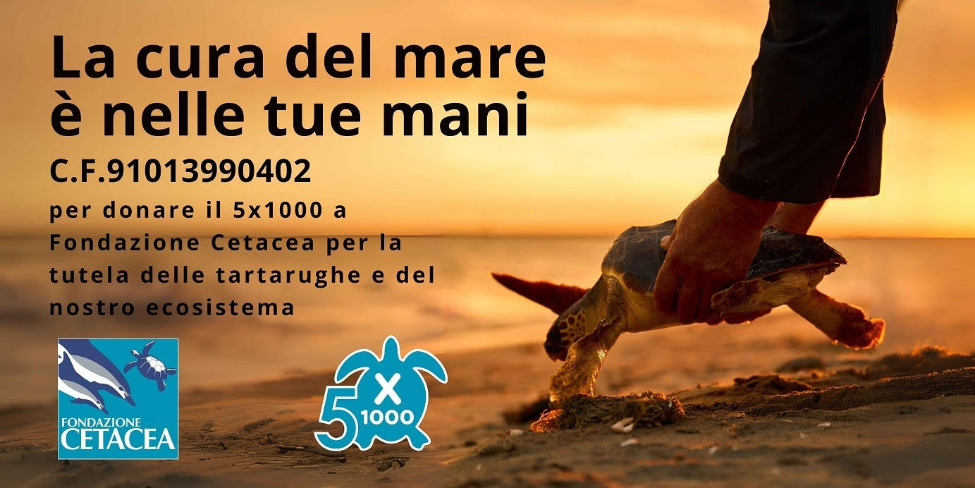 La cura del mare &egrave; nelle tue mani - dona il 5x1000 a Fondazione Cetacea